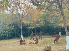 -盘龙城国家考古遗址公园