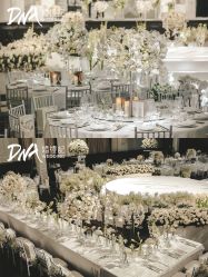 -DNA Wedding 婚礼记(上海店)