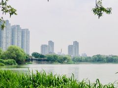 -高子水居