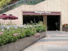 -哈根达斯(深圳海岸城店)