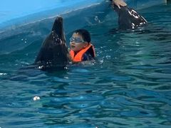 -尼莫海豚馆