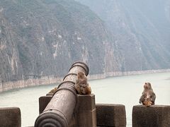 -白帝城·瞿塘峡景区