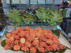 -金石滩绿发温泉假日酒店-海洋之星餐厅