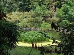 -重庆彩云湖湿地公园