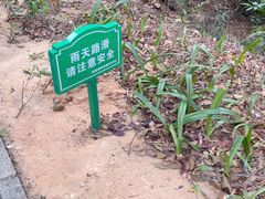 -黄埔油麻山森林公园