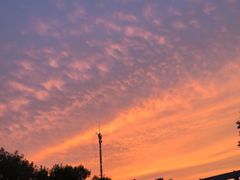 -天津东丽湖风景区