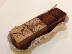 -滚猫咖啡·猫咖·猫友好撸猫(未来城店)