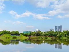 -福田红树林生态公园