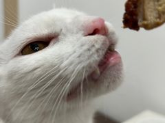 -晶牌烤鸭(延吉东路557弄小区店)