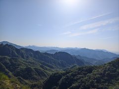 -大岭沟猕猴桃谷风景区