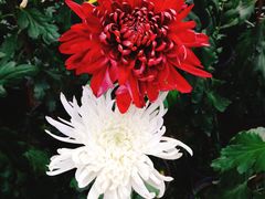 -上海市龙华烈士陵园