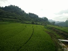 -明记海鲜美食老字号(明记总店)