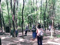 -亲兄弟真人CS团建拓展基地
