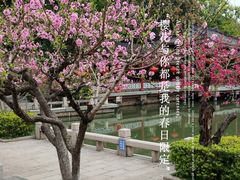 -西湖公园(鼓楼区)