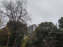 -南翔镇银翔湖公园