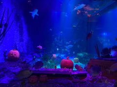 -沈阳海洋探索中心