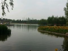 -秀丽东方