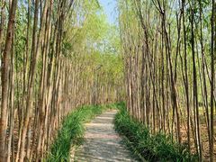 -天津东丽湖风景区