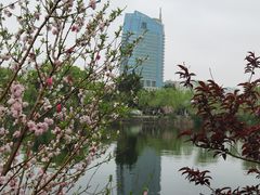 -无锡蠡湖国家湿地公园-蠡园