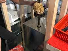 -都念榴莲·城市榴莲