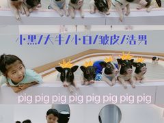 -猪盟咖啡店(玖洲道店)