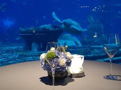 -OSSIANO奥西亚诺海底餐厅