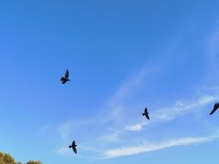 -蒋氏故居