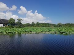 -上海海湾国家森林公园