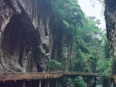 -永泰中国云顶