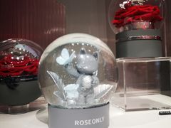 -ROSEONLY诺誓(广州K11店)