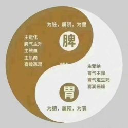 -名发世家烫染