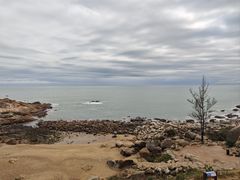 -广东惠东海龟国家级自然保护区