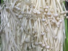 -东巴婆婆云南鱼豆花火锅(大东门店)