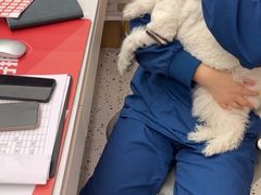 -瑞派康怡24h宠物医院·犬猫医疗中心·微创绝育(瑞景分院)