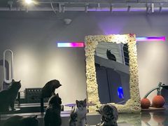 -极木²邸 人与宠物·互动社区