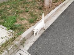 -全家便利店(兴源北路店)