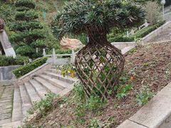 -国恩寺