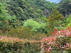 -花溪风景区