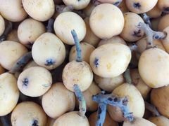 -塘栖枇杷特色园区