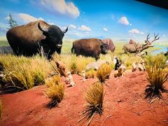 -陕西自然博物馆