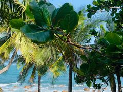 -三亚南山文化旅游区