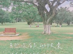 -东莞植物园