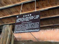 -海南槟榔谷黎苗文化旅游区