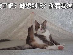 -萌喵咖啡屋(人民东路4号口M16商铺店)