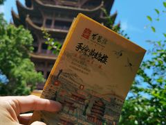 -黄鹤楼公园(黄鹤楼)