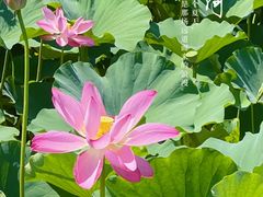 -马家湾湿地公园