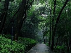 -虎跑公园