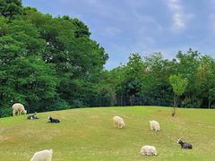 -国际非物质文化遗产博览园