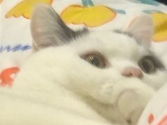 -咕咕站韩国料理(紫金港店)