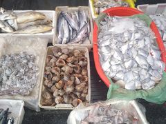 -芦潮港集贸市场